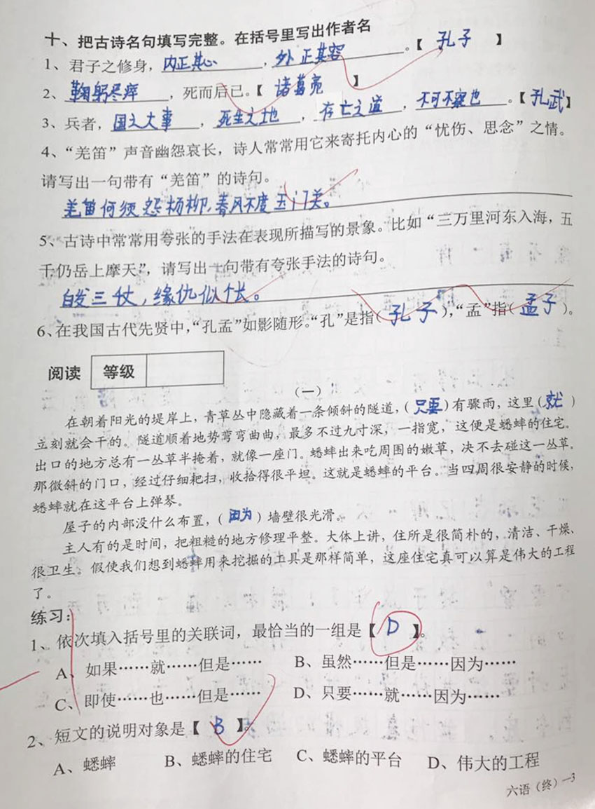 2017年成都锦江区六年级调考语文试题3