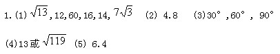 几何问题之勾股定理：练习题含答案2