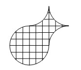 小学五年级每日一题1